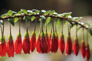 中山小榄7私人快速借钱网，轻松解决资金难题