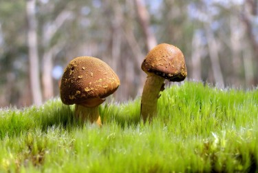 中山小榄7私人老板放款：轻松融资的秘密通道